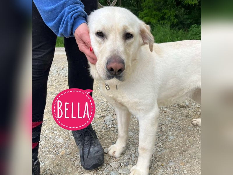 Bella möchte eine Familie