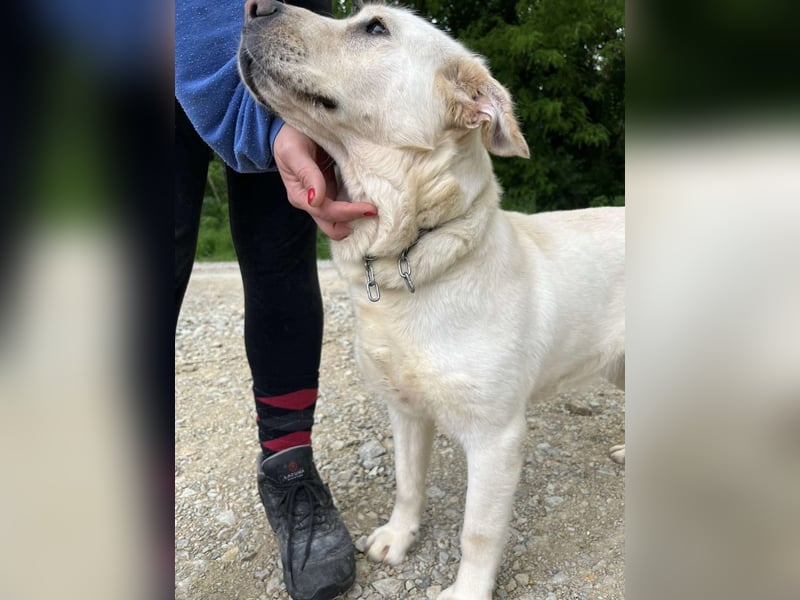 Bella möchte eine Familie