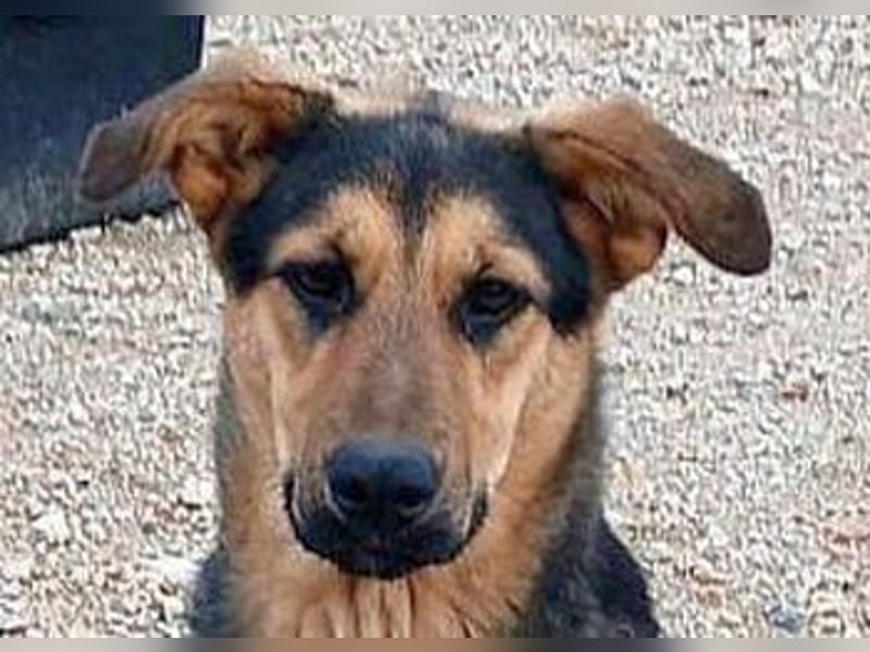 Babsie sucht Dich