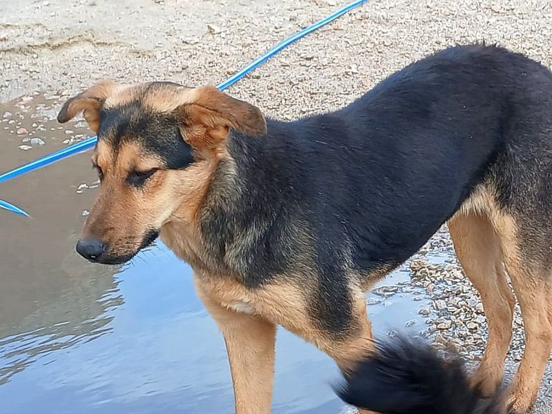 Babsie sucht Dich