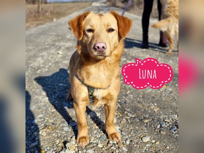 Luna eine feine Prinzessin