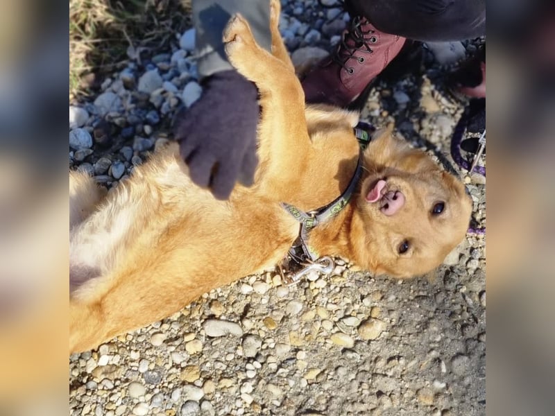 Luna eine feine Prinzessin