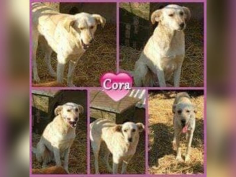 Cora, warum sieht mich denn niemand ?