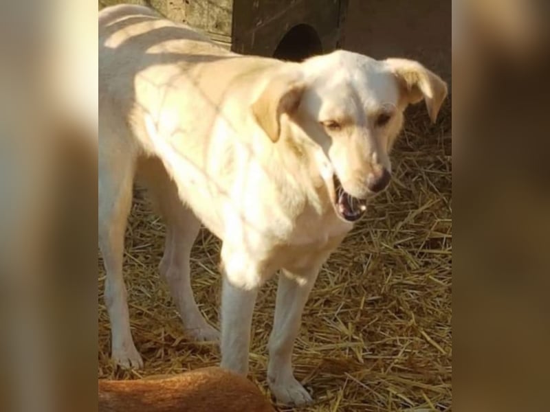 Cora, warum sieht mich denn niemand ?