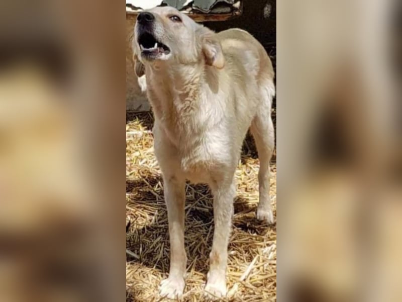 Cora, warum sieht mich denn niemand ?