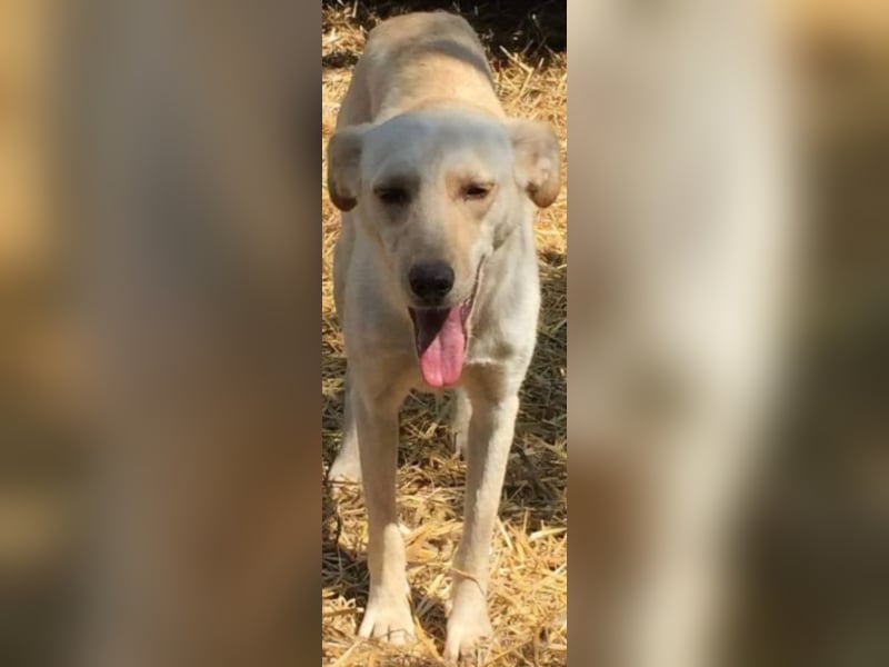 Cora, warum sieht mich denn niemand ?