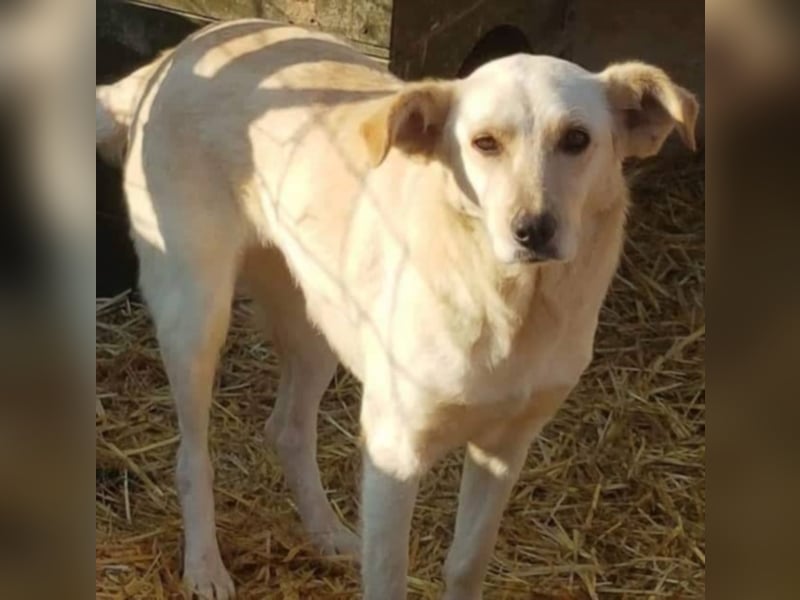Cora, warum sieht mich denn niemand ?