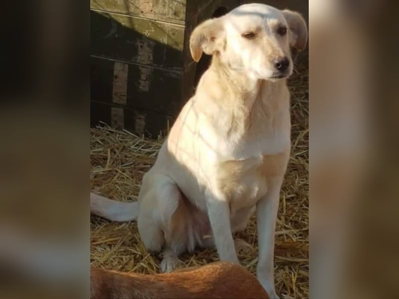 Cora, warum sieht mich denn niemand ?