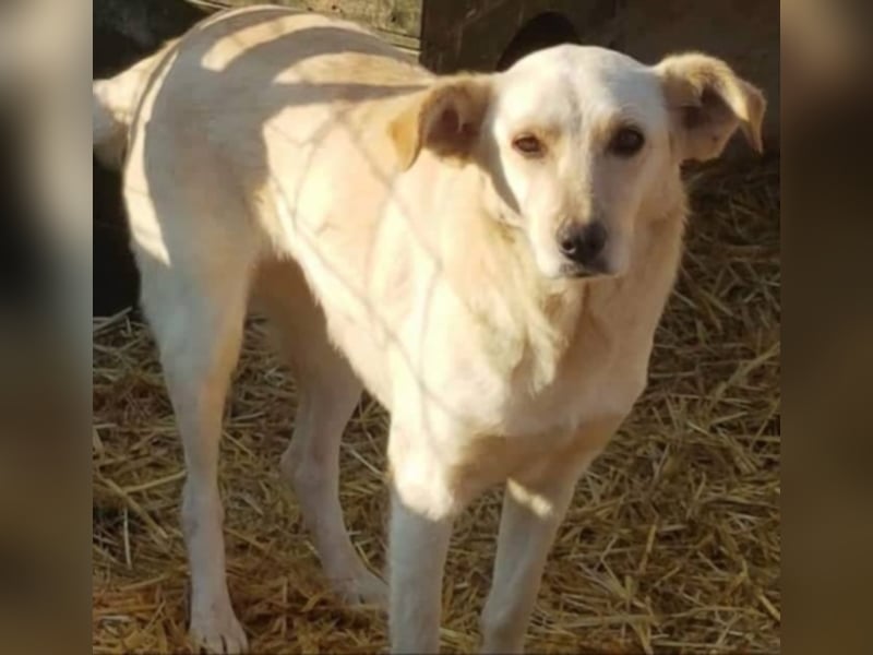 Cora, warum sieht mich denn niemand ?