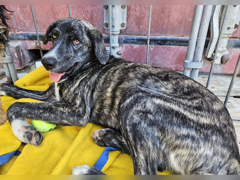 Coco: eine kleine Schönheit