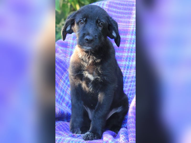 Neela sucht eine liebevolle Familie