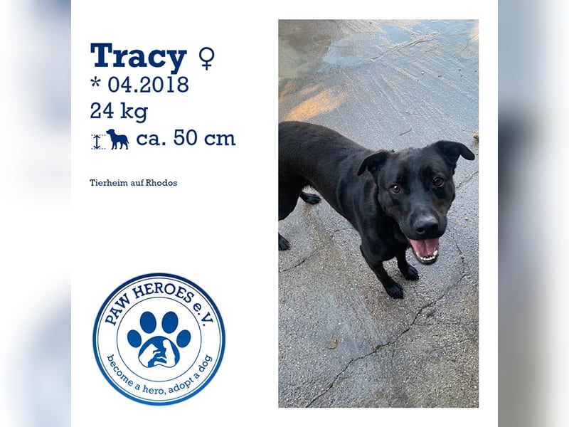 Happy Girl TRACY (5 Jahre) sucht ein Zuhause