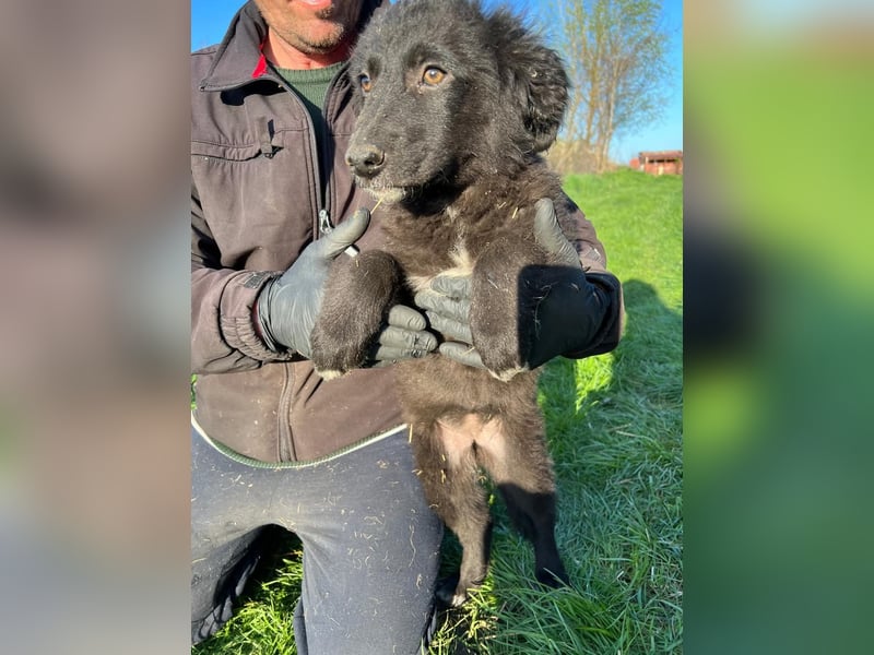 Cloe sucht ihr Glück
