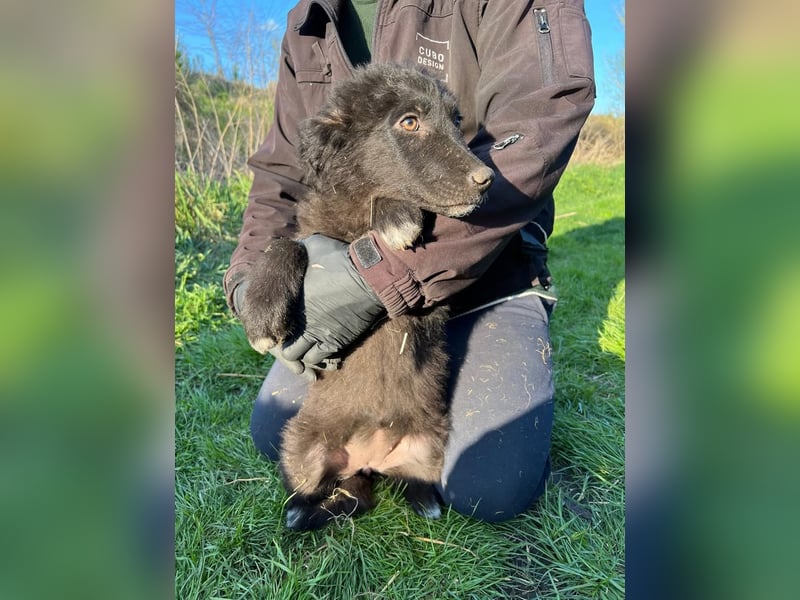 Cloe sucht ihr Glück