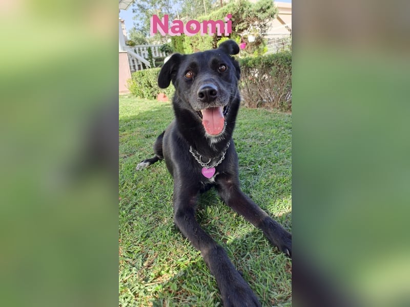 Naomi 01/22 - Naomi wird zum NOTFALL
