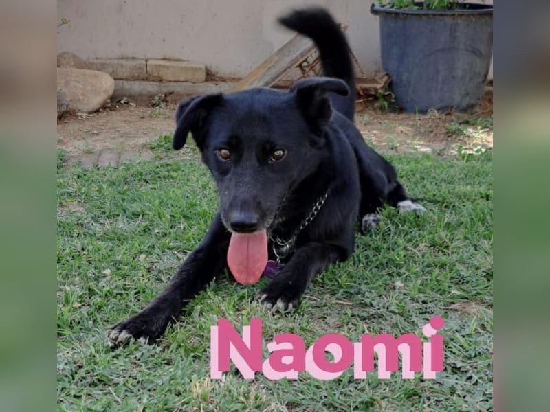 Naomi 01/22 - Naomi wird zum NOTFALL