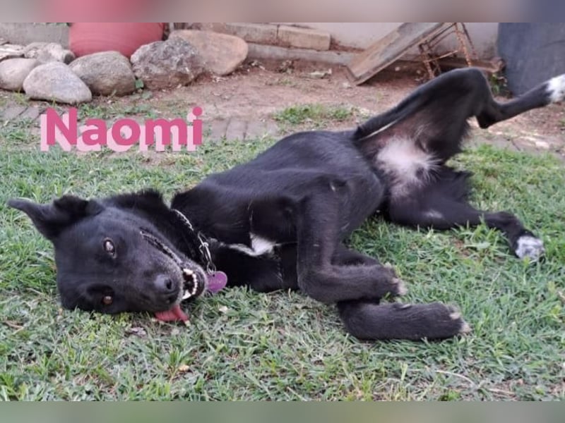 Naomi 01/22 - Naomi wird zum NOTFALL