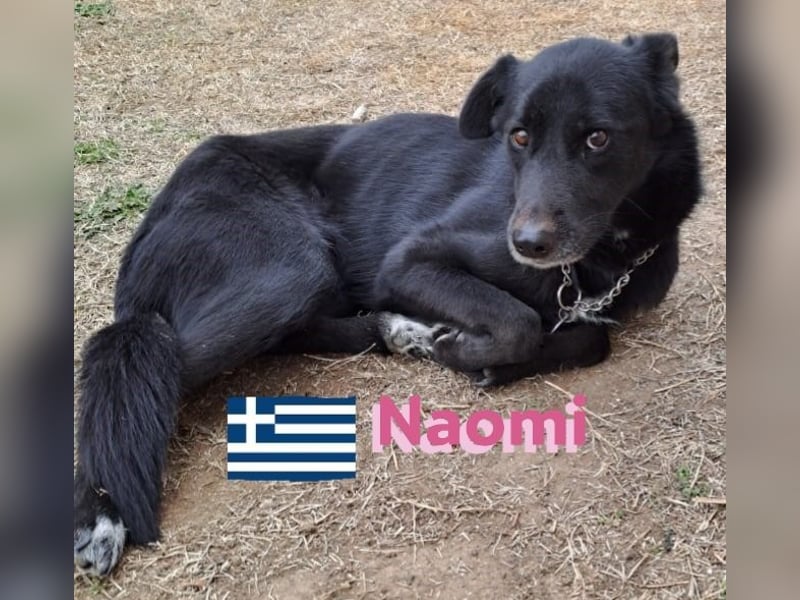 Naomi 01/22 - Naomi wird zum NOTFALL