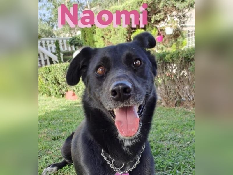 Naomi 01/22 - Naomi wird zum NOTFALL