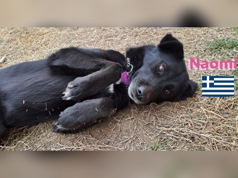 Naomi 01/22 - Naomi wird zum NOTFALL