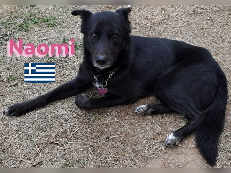 Naomi 01/22 - Naomi wird zum NOTFALL