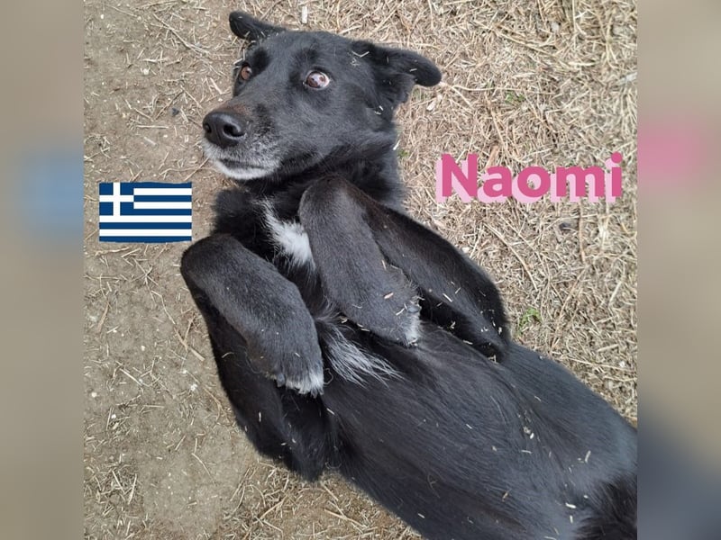 Naomi 01/22 - Naomi wird zum NOTFALL