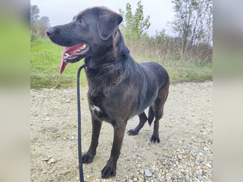 Toya eine wundervolle Seele