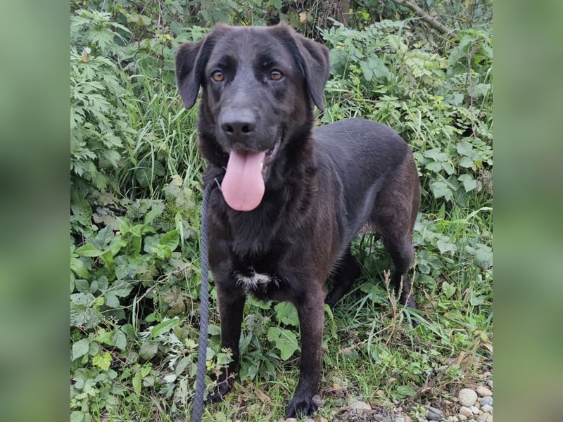 Toya eine wundervolle Seele