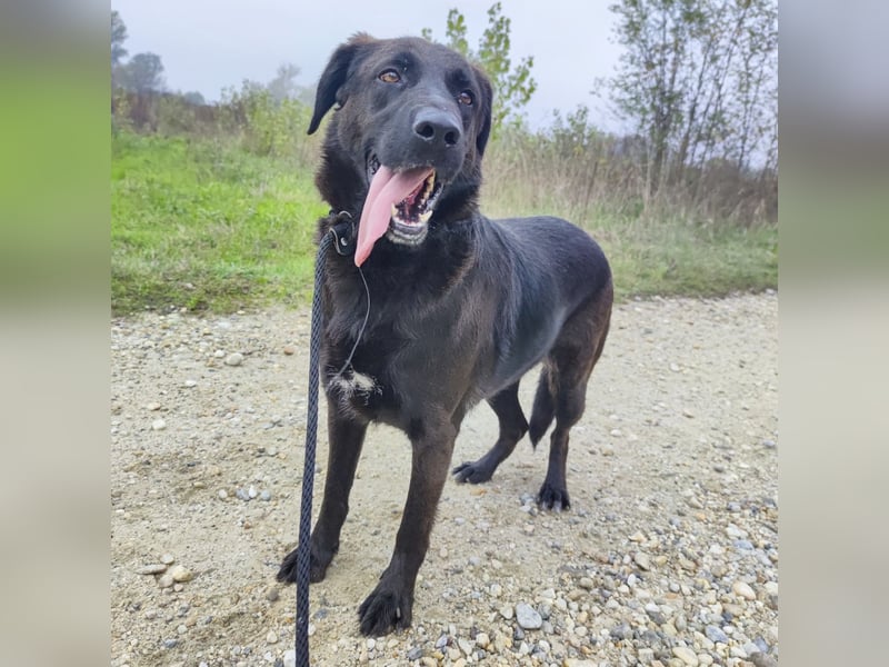Toya eine wundervolle Seele