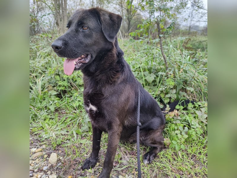 Toya eine wundervolle Seele