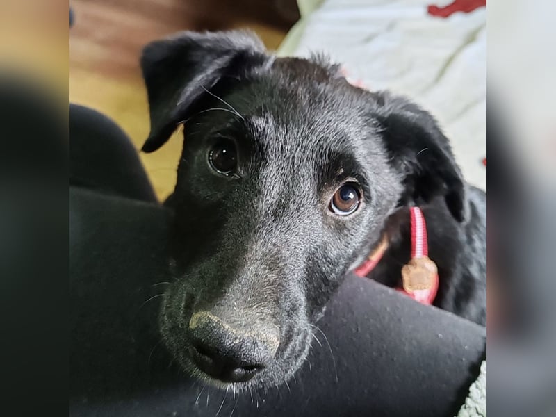 Bianca eine schwarze Perle