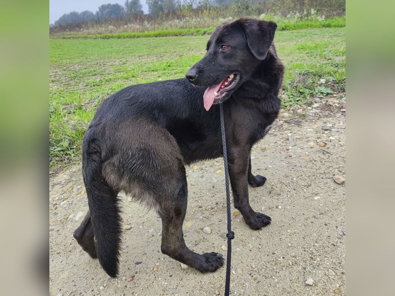 Toya eine wundervolle Seele