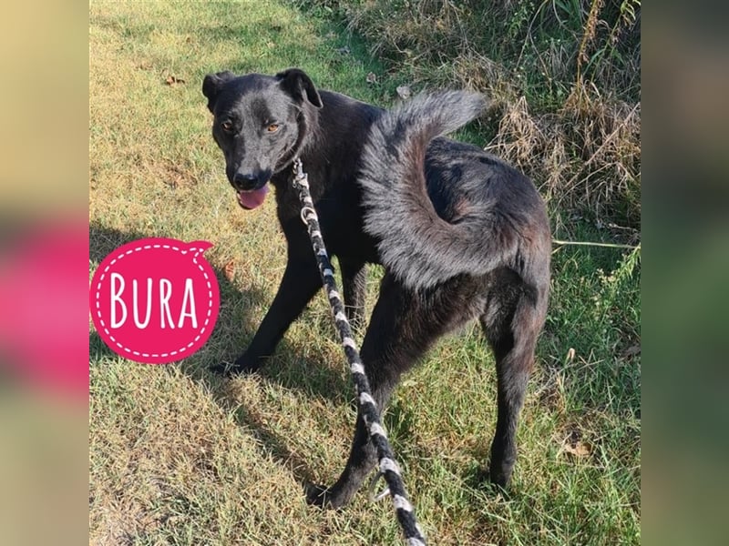 Bura ein feines Mädchen