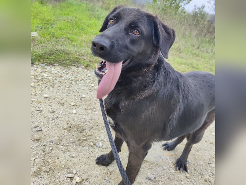 Toya eine wundervolle Seele