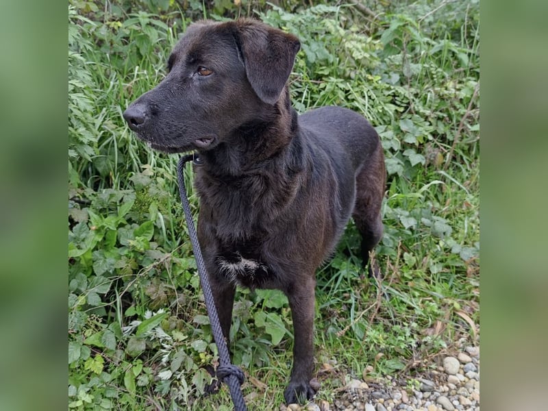 Toya eine wundervolle Seele