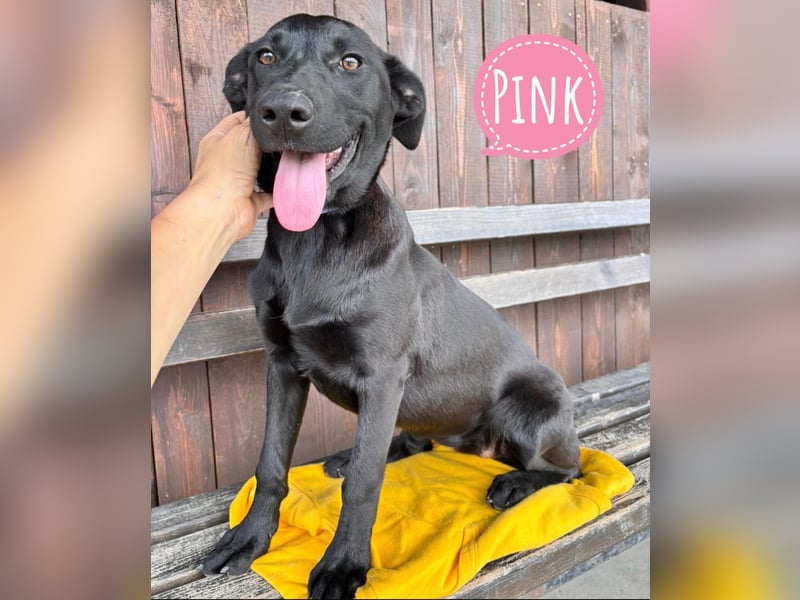 Pink ein selbstbewusstes Mädchen