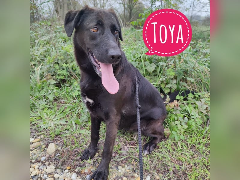 Toya eine wundervolle Seele