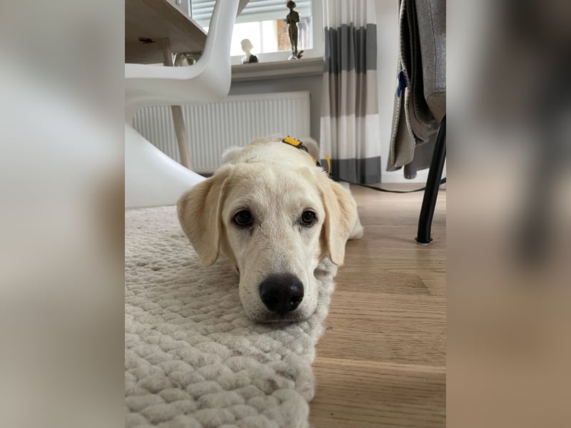 Yola: sie freut sich auf Besuch in Bonn