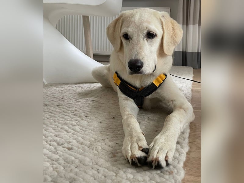 Yola: sie freut sich auf Besuch in Bonn