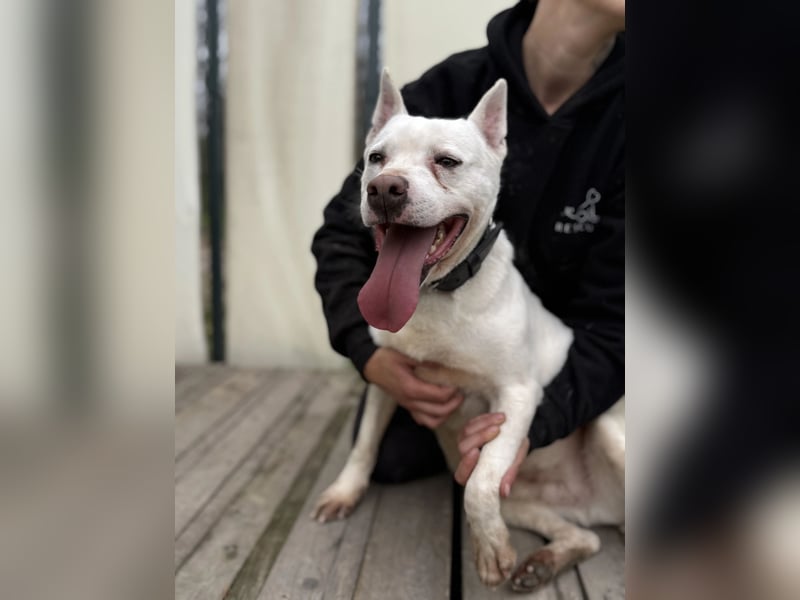 Angel sucht Herzensmenschen