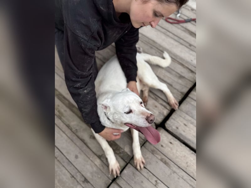 Angel sucht Herzensmenschen