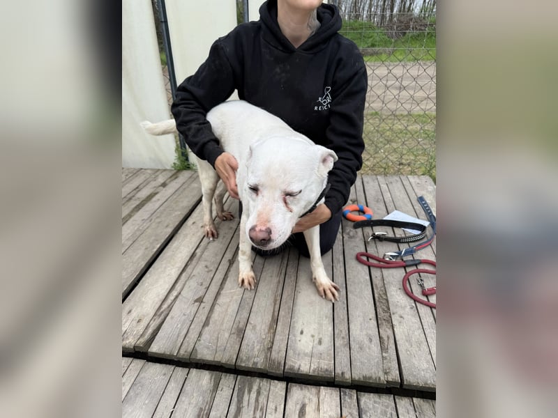 Angel sucht Herzensmenschen