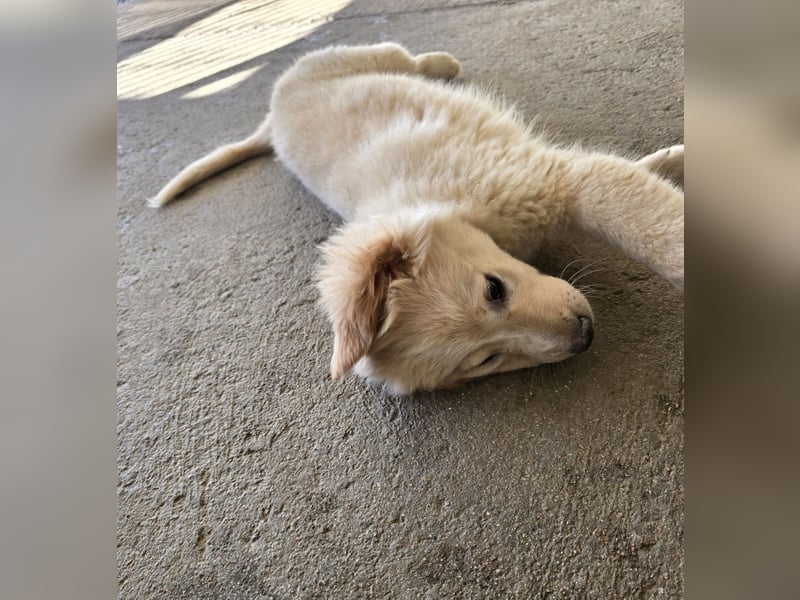 Nacho: endlich leben