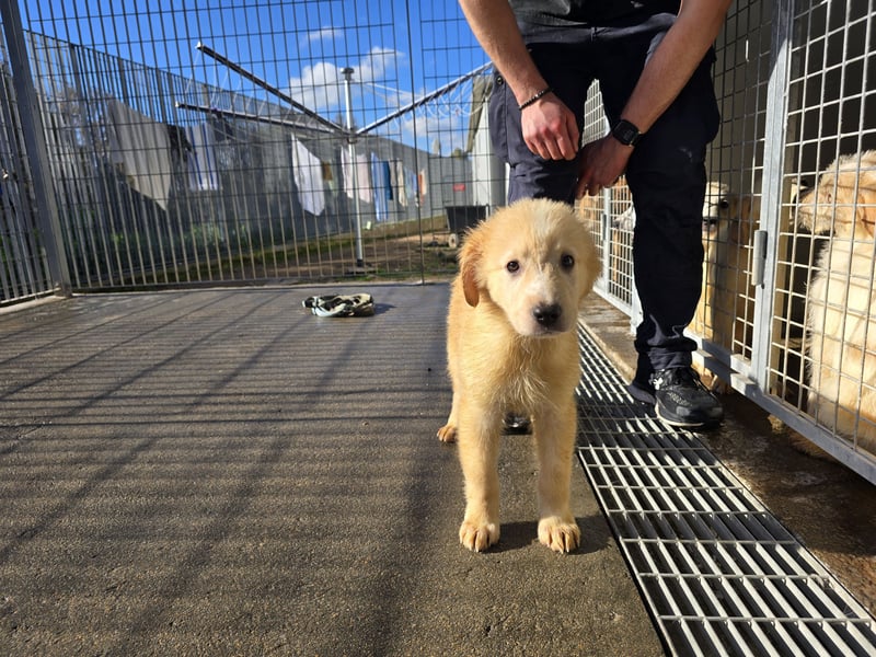 Nacho: endlich leben