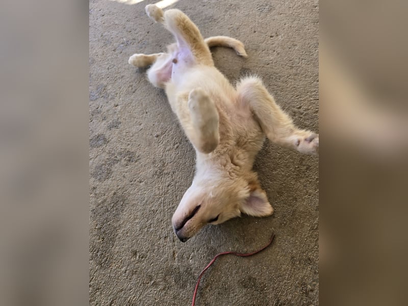 Nacho: endlich leben