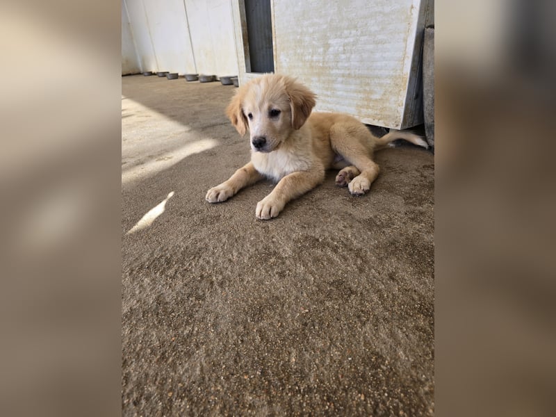 Nacho: endlich leben