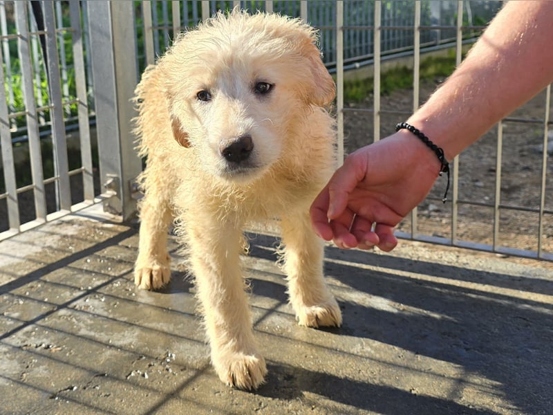 Naira und Norma - vom Flughafen ins schöne Leben