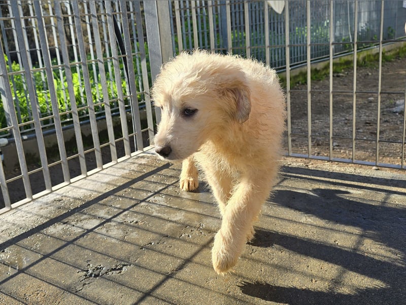 Naira und Norma - vom Flughafen ins schöne Leben