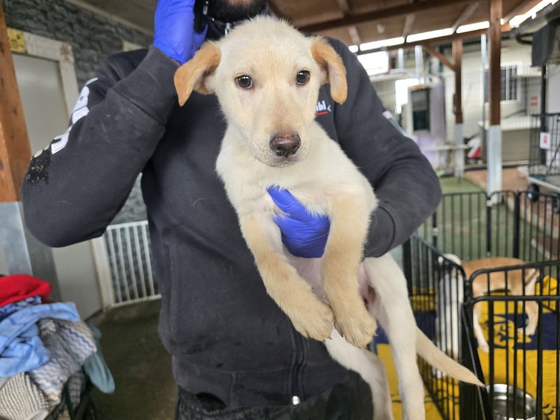 Festa: Hallo, hier bin ich!