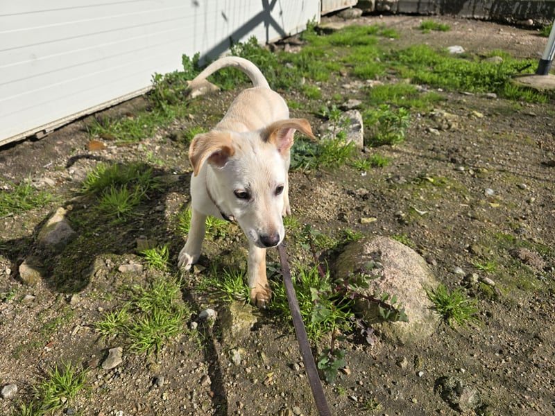 Festa: Hallo, hier bin ich!